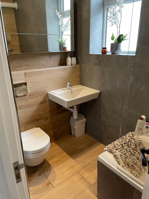 Graftonbury Court, Grafton Lane, Hereford, Hr2 8Fa Esterno foto